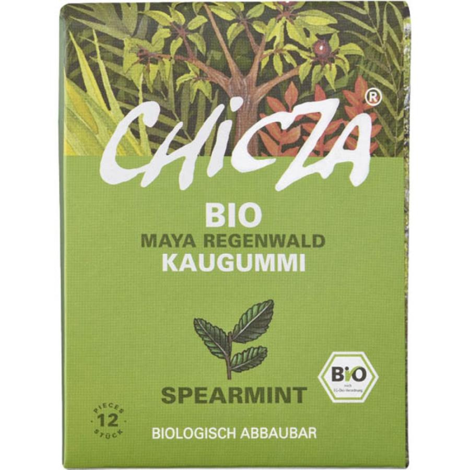 Guma de mestecat cu spearmint, eco - 30 g
