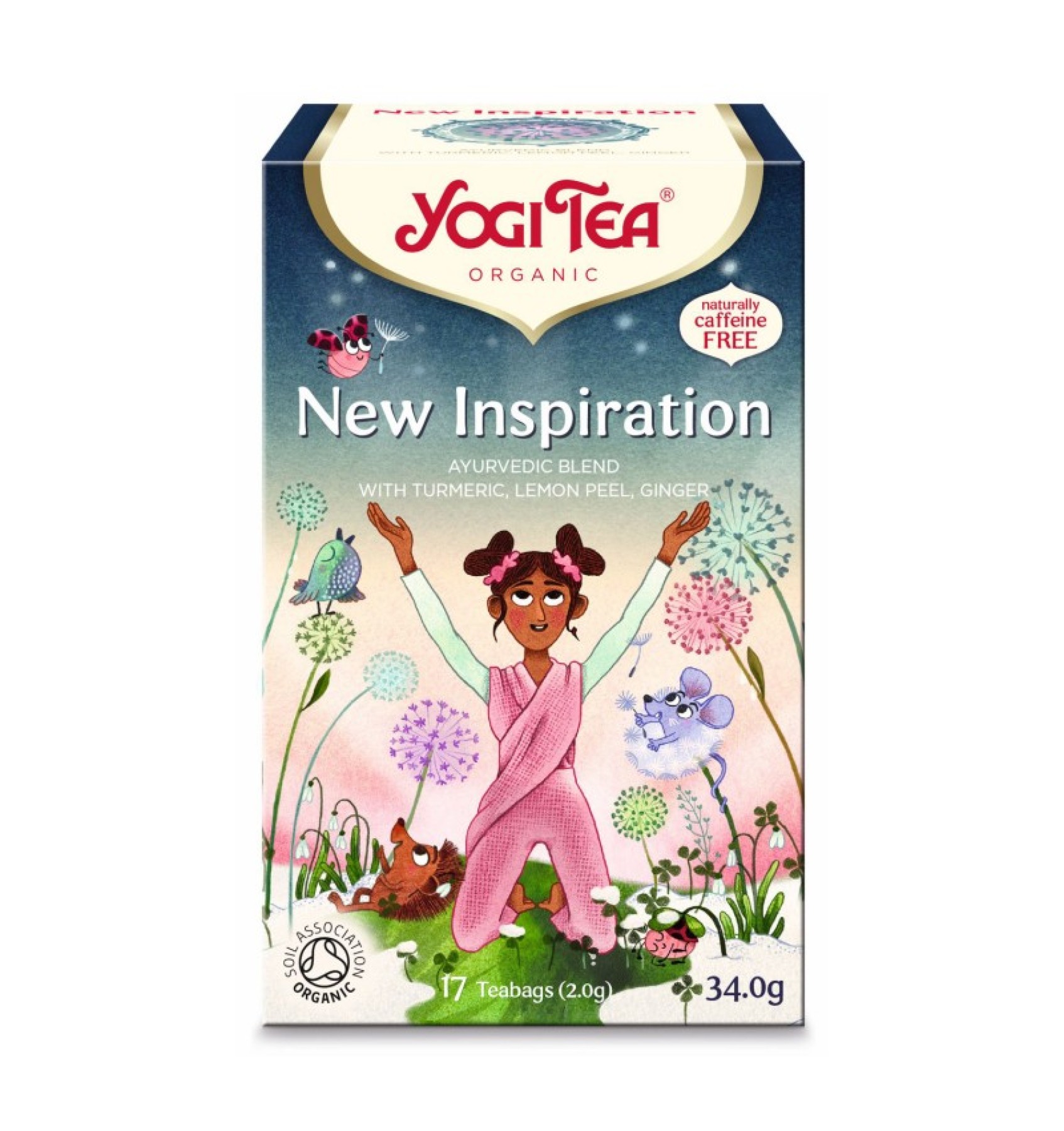 ECO/BIO Ceai New Inspiration 17TB