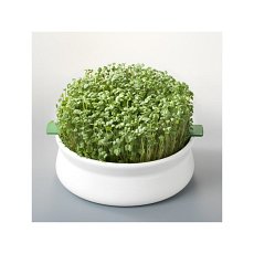 Vas de ceramica cu sita pentru germinare seminte mucilaginoase Germline