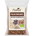 Fulgi crocanti bio de ovaz cu ciocolata 250g