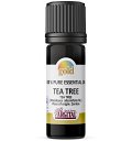 Ulei esential din arbore de ceai melaleuca, 10ml argital gold