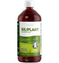 Siliciu g7 siliplant siliciu organic extras din planta coada-calului, 1000ml