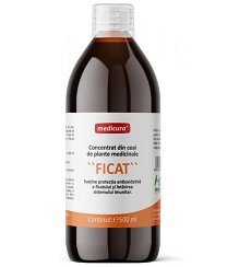 Concentrat din plante medicinale pentru ficat, 500 ml