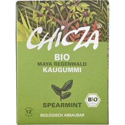 Guma de mestecat cu spearmint, eco - 30 g