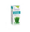 Ulei esential bio de citronella, 10ml